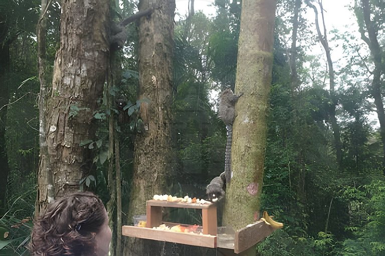 Refúgio com Hidro e Lareira na Serra da Cantareira