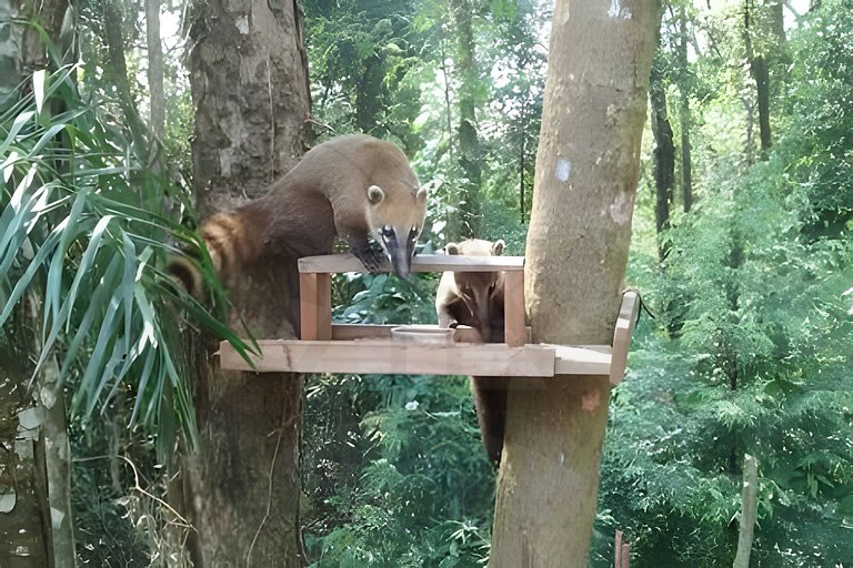 Refúgio com Hidro e Lareira na Serra da Cantareira