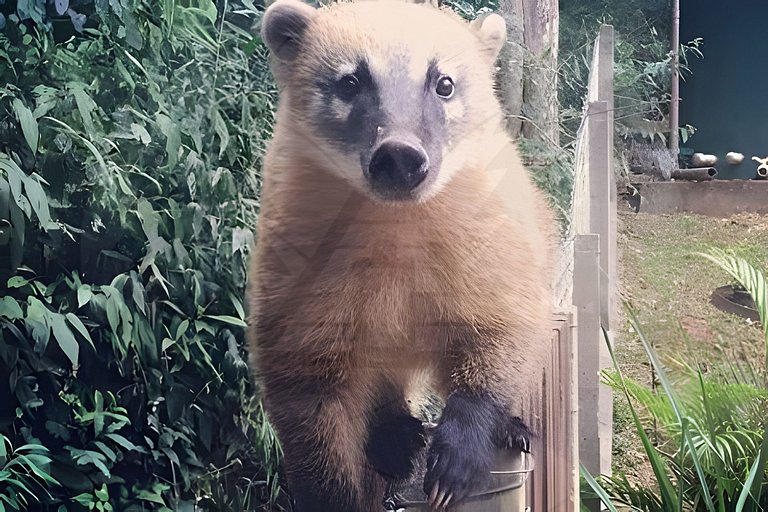 Refúgio com Hidro e Lareira na Serra da Cantareira