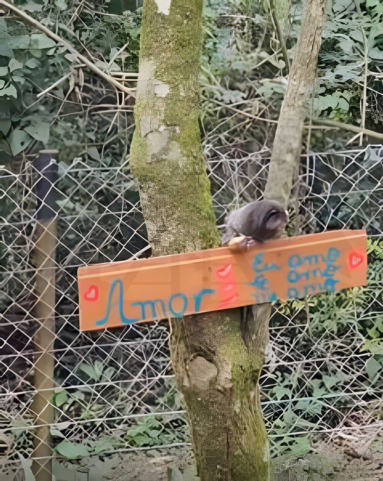 Cabana c/ Hidromassagem e Lareira na Rota do Vinho