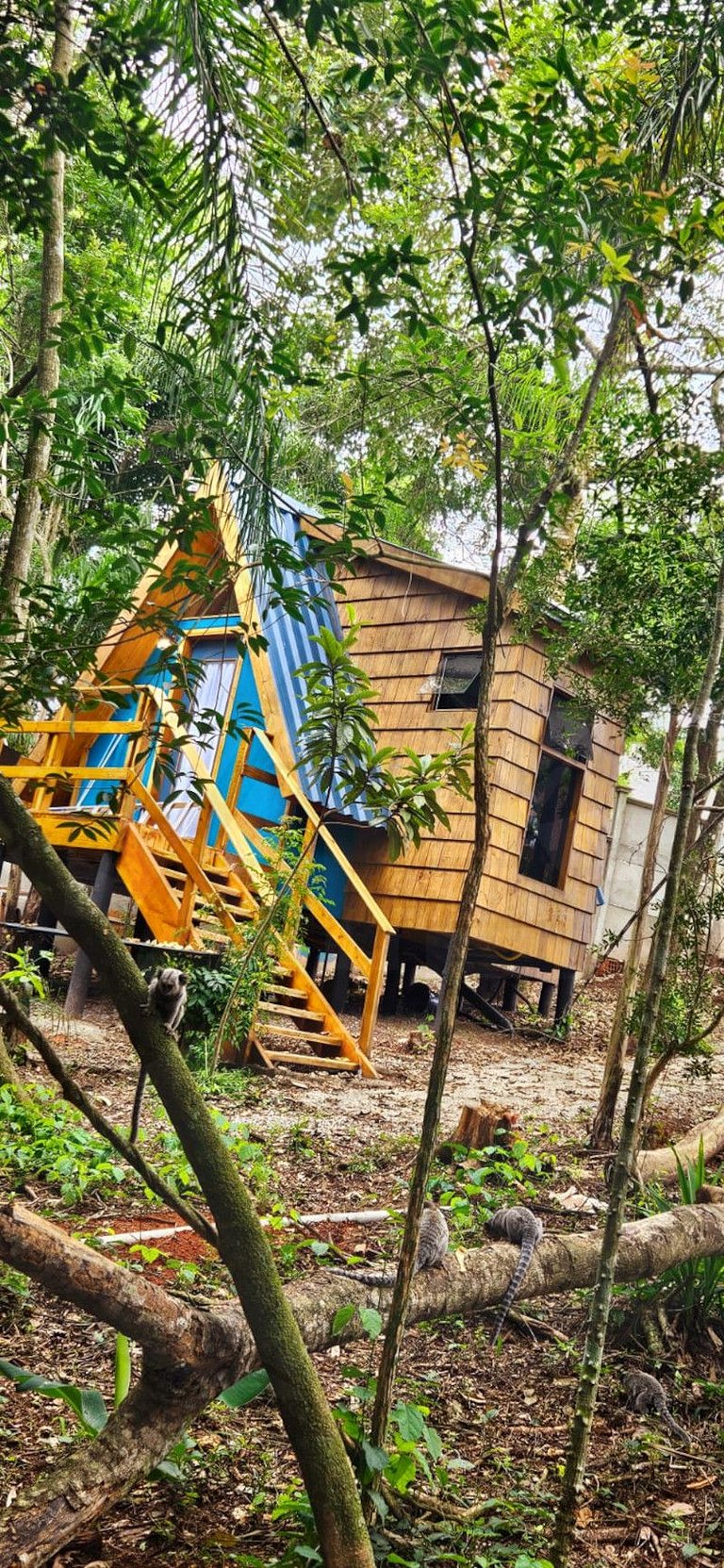 Cabana c/ Hidromassagem e Lareira na Rota do Vinho