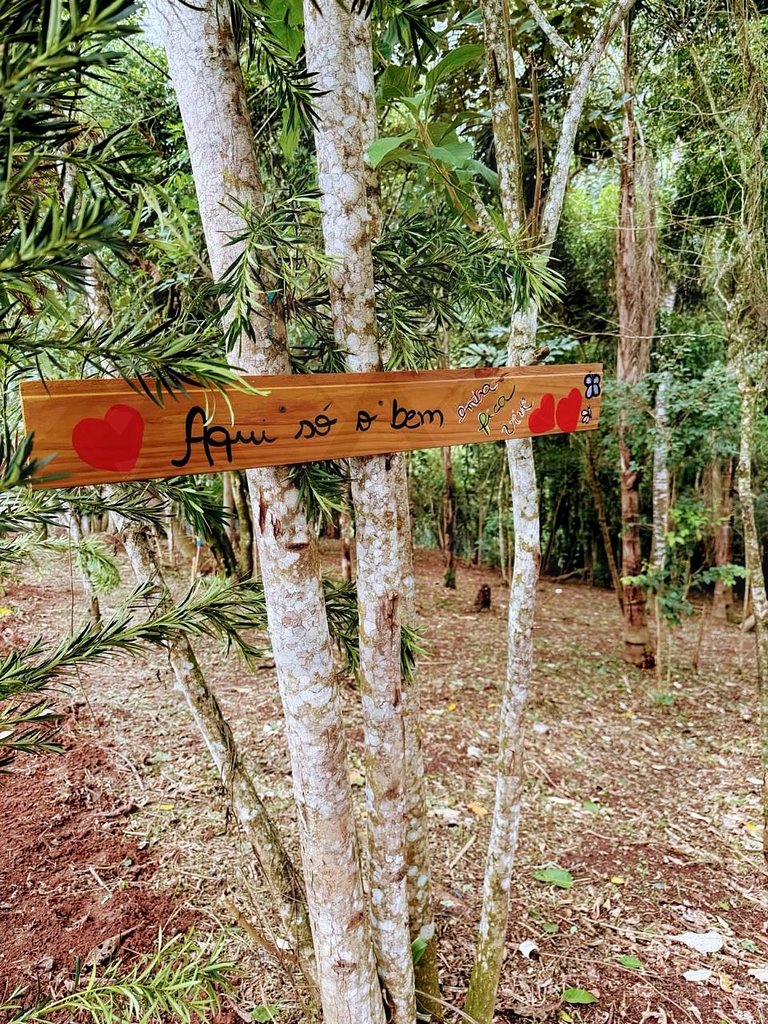 Cabana c/ Hidromassagem e Lareira na Rota do Vinho