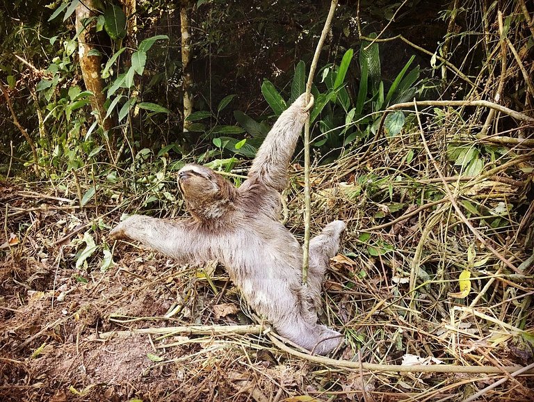Cabana na Serra da Cantareira com Hidro e Lareira