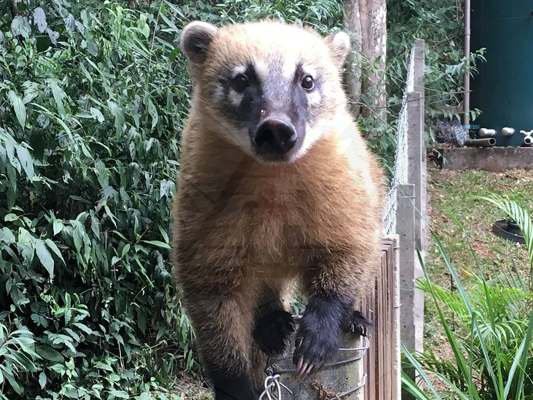 Refúgio com Hidro e Lareira na Serra da Cantareira