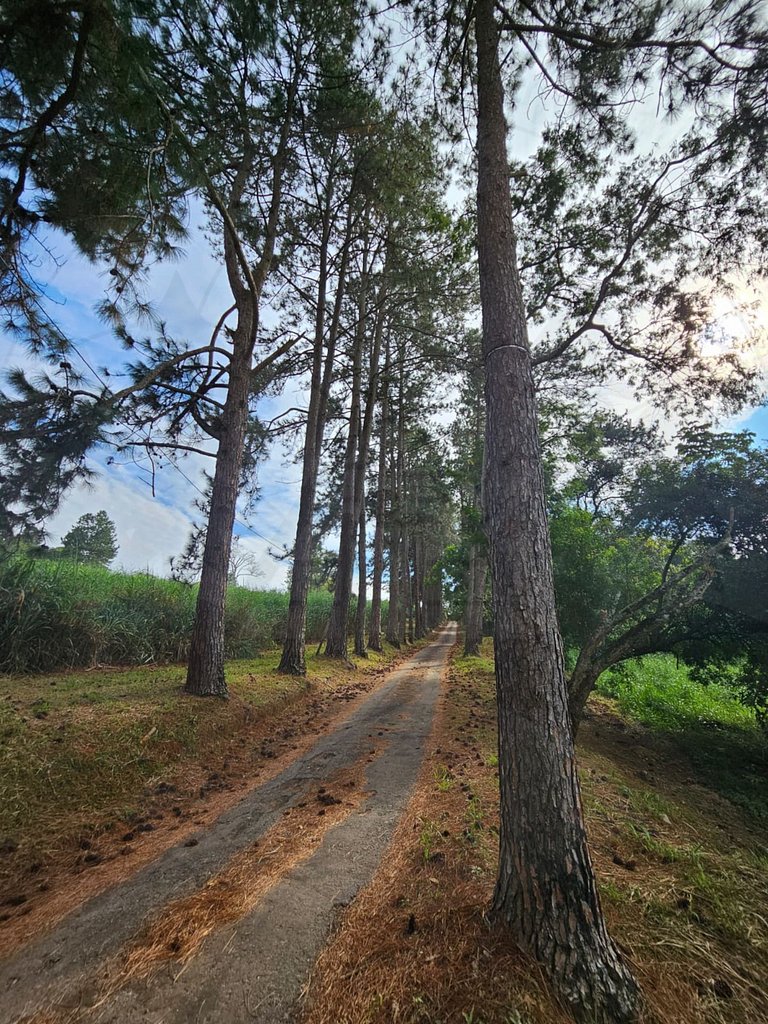 Cabana Barril do Bosque c/ Hidro e Café da manhã