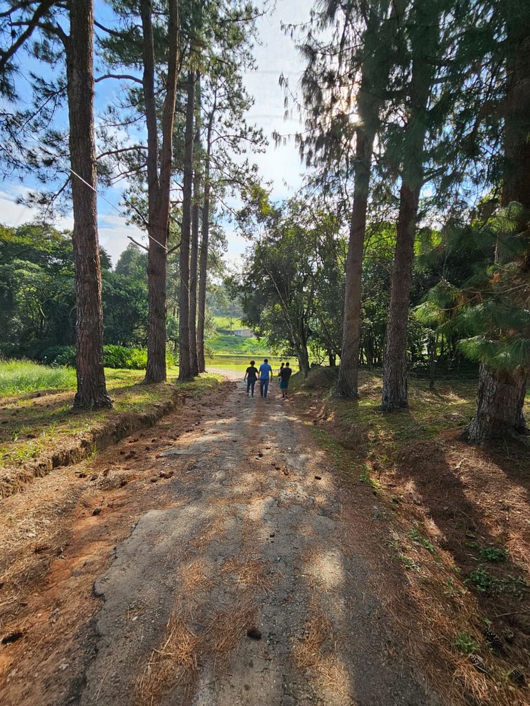 Cabana Barril do Bosque c/ Hidro e Café da manhã