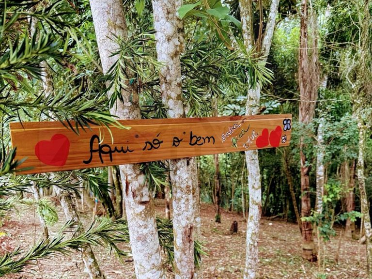 Cabana c/ Banheira e Lareira na Rota do Vinho