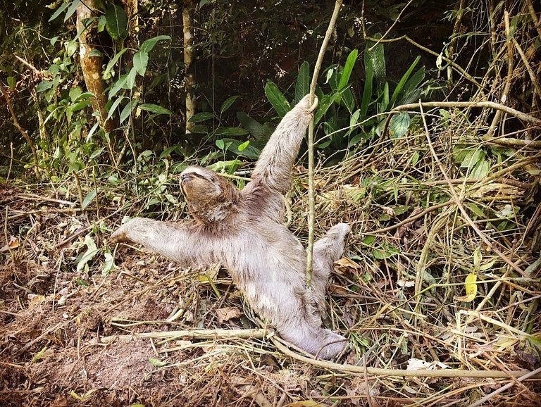 Refúgio com Hidro e Lareira na Serra da Cantareira